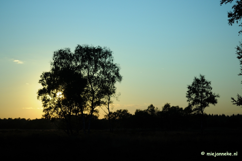 DSC_4477.JPG - Leenderheide