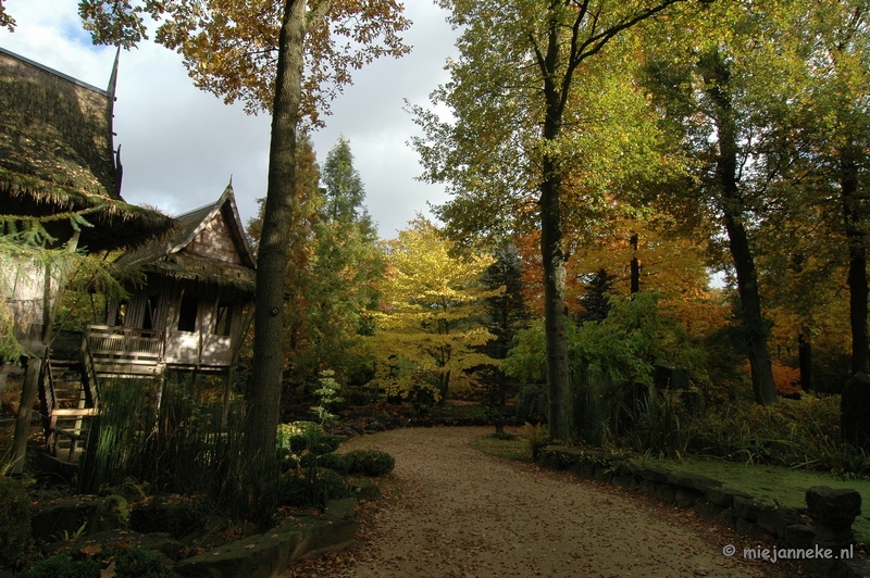 DSC_5892.JPG - Herfst in Arcen