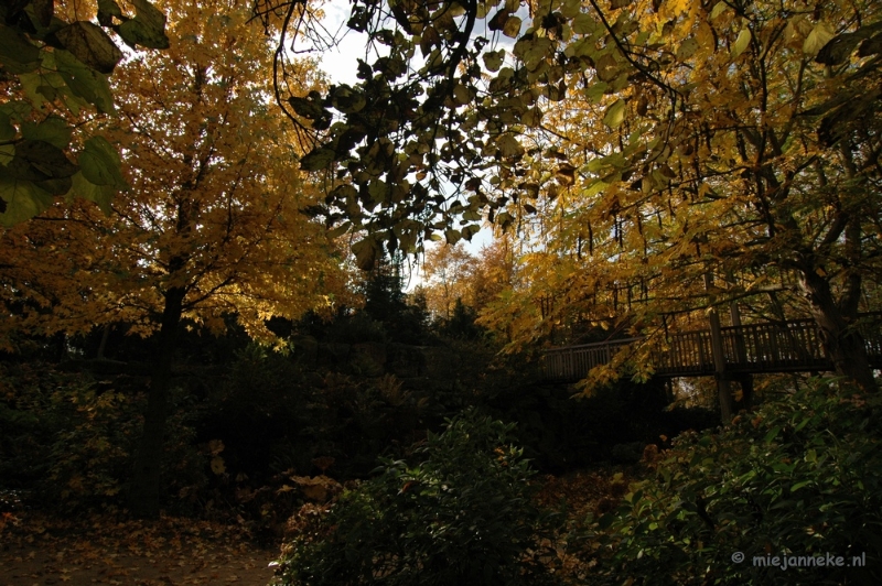 DSC_6557.JPG - Herfst in Arcen 2