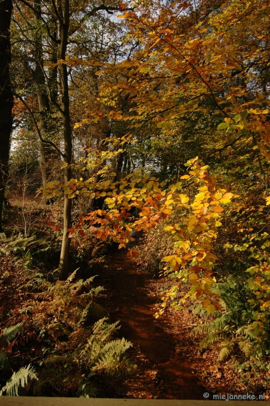 DSC_6609.JPG - Herfst in Arcen 2