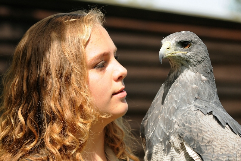 DSC_8855a.JPG - Zoomdag 9 mei Falcon Crest