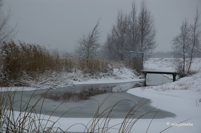 DSC_8660a.JPG - Maar op 5 Januari, een flinke laag sneeuw.