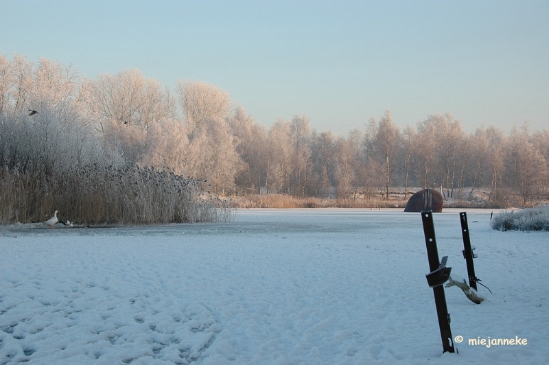 DSC_9325.JPG - Een klein wak voor onze gevleugelde vrienden.