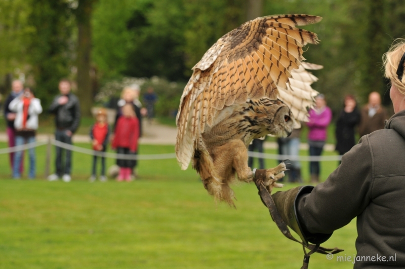 DSC_4280.JPG - Roofvogelshow Arcen