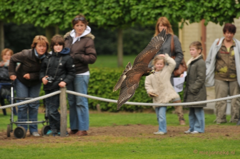 DSC_4394.JPG - Roofvogelshow Arcen