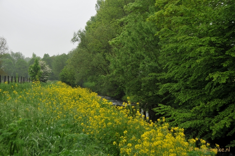 DSC_0377.JPG - Wandelen in Limburg