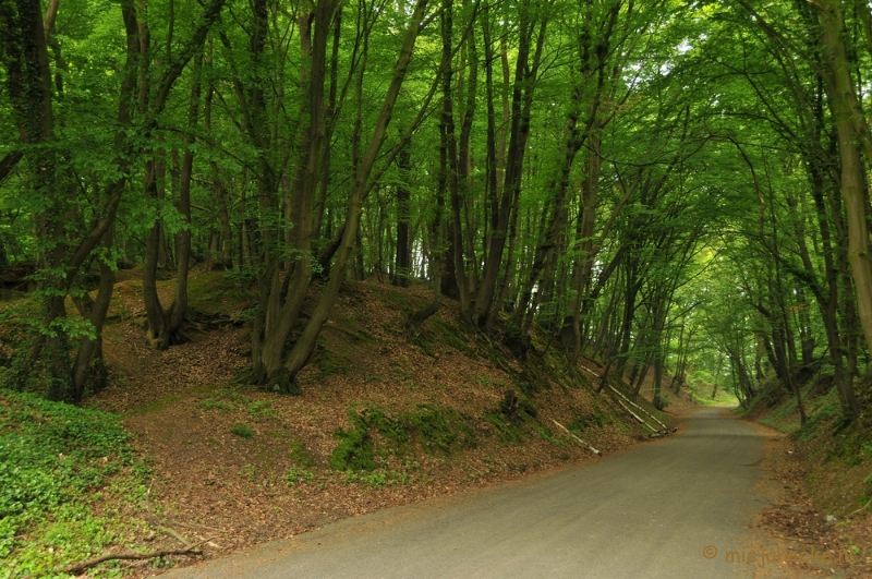 DSC_0463.JPG - Wandelen in Limburg