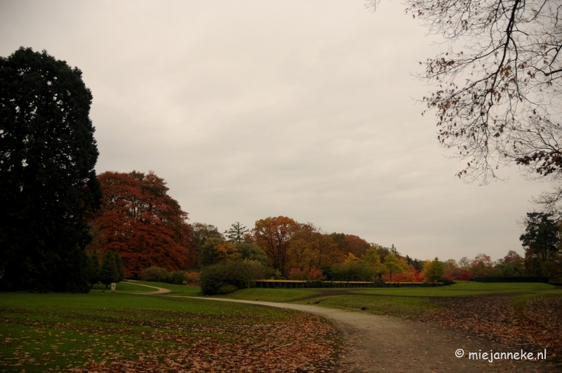 DSC_1138.JPG - Herfst in Arcen