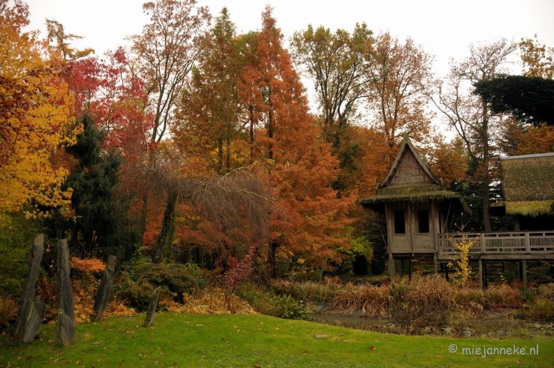 DSC_1162.JPG - Herfst in Arcen