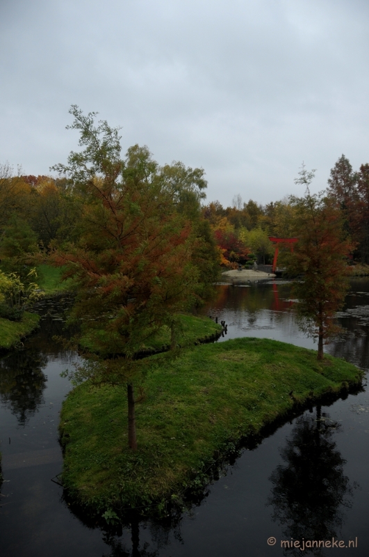 DSC_1375.JPG - Herfst in Arcen