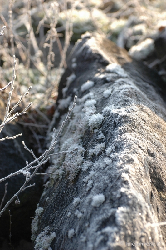 DSC_4606a.JPG - Touch of winter in de BB