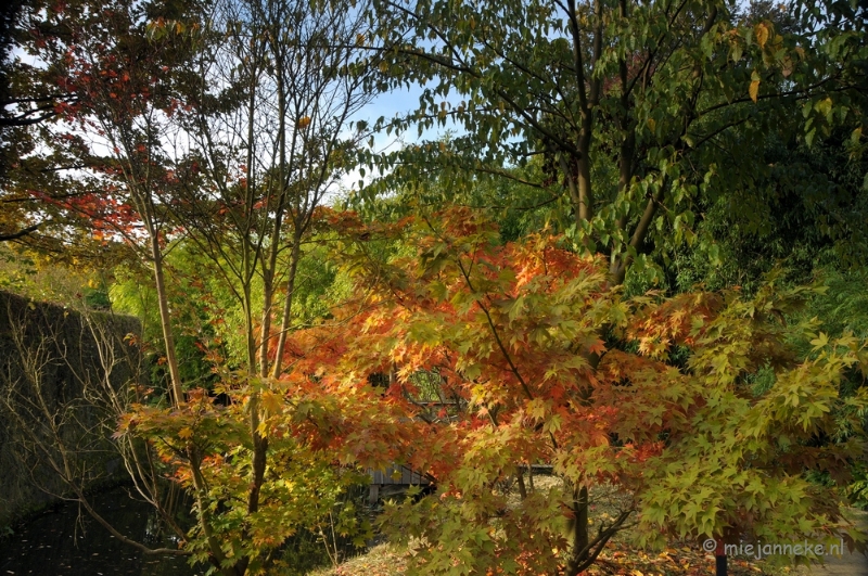 DSC_0448.JPG - Herfst in Arcen