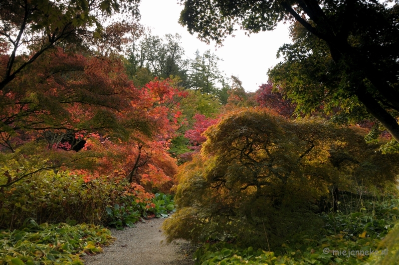 DSC_0454.JPG - Herfst in Arcen