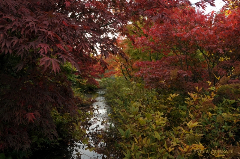 DSC_0488.JPG - Herfst in Arcen