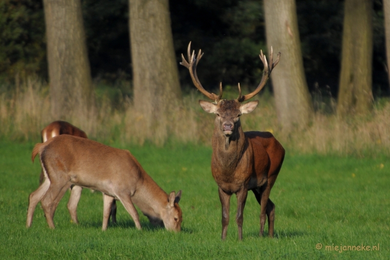 DSC_9636.JPG - Met een blik naar ons