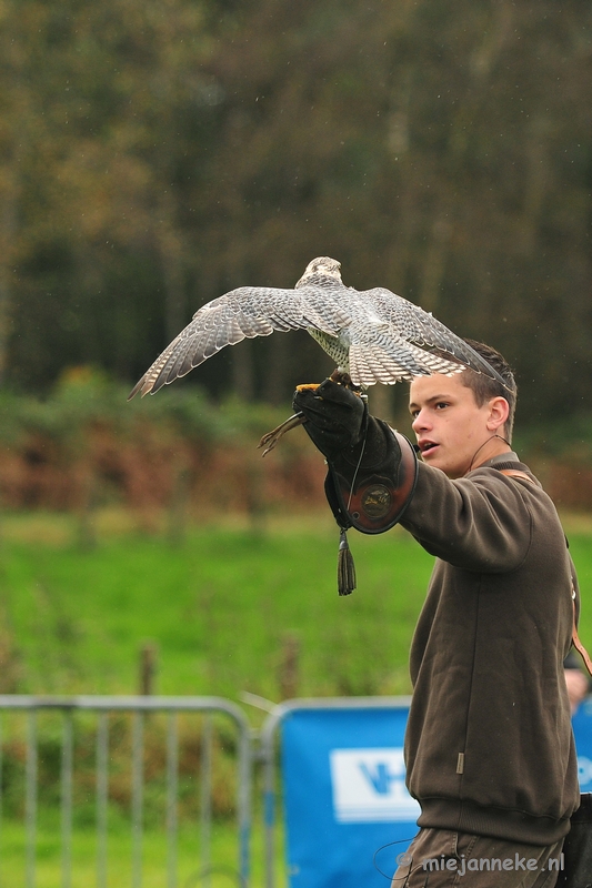 DSC_4388.JPG - Platteland en valkeniers beurs Overpelt 2011