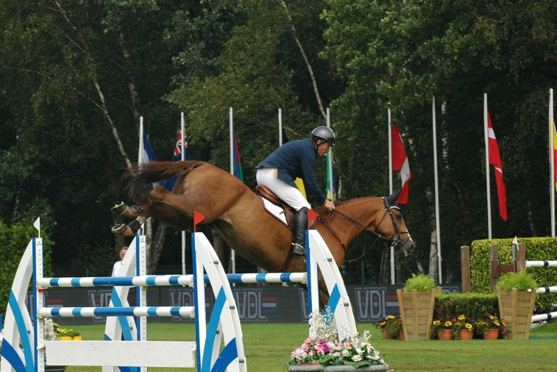 DSC_7404.JPG - Hippique concours Tops Valkenswaard