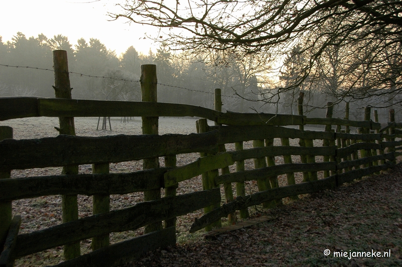 DSC_7849.JPG - mysterious walk