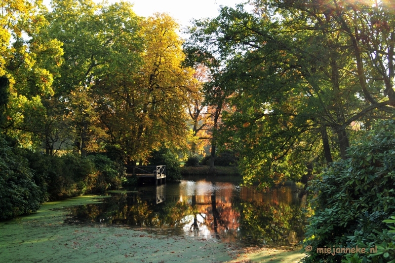 DSC_4561.JPG - Herfstkleuren in Arcen