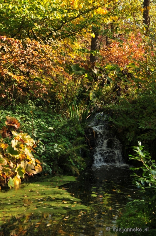 DSC_4757.JPG - Herfstkleuren in Arcen