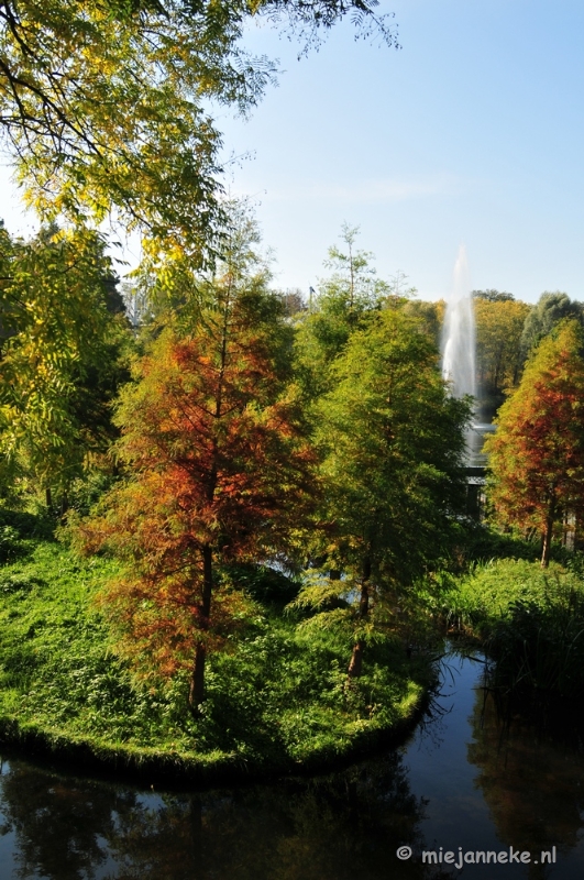 DSC_4857.JPG - Herfstkleuren in Arcen