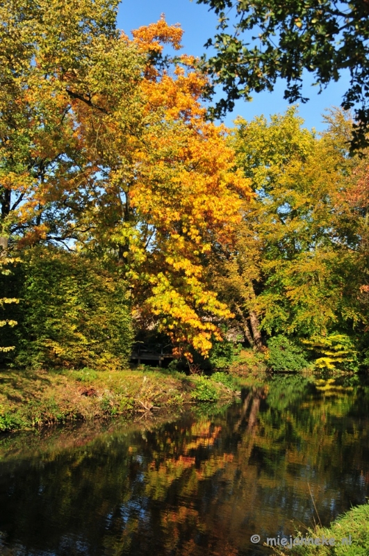 DSC_4870.JPG - Herfstkleuren in Arcen