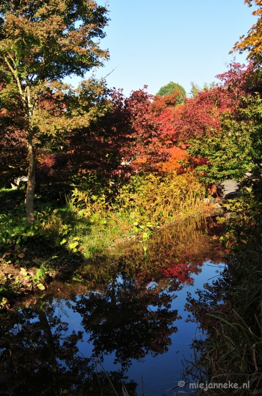 DSC_4961.JPG - Herfstkleuren in Arcen