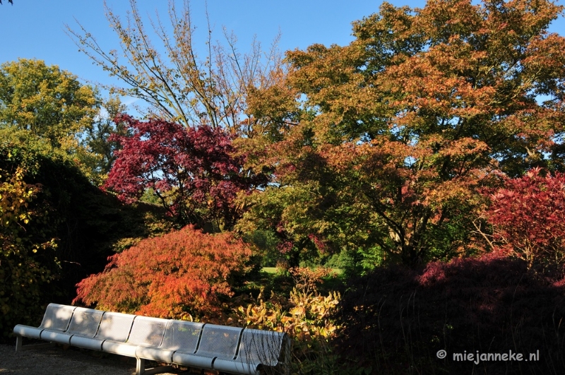 DSC_4968.JPG - Herfstkleuren in Arcen