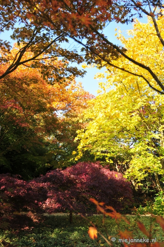 DSC_4984.JPG - Herfstkleuren in Arcen