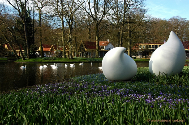 DSC_2086.JPG - Keukenhof 2011