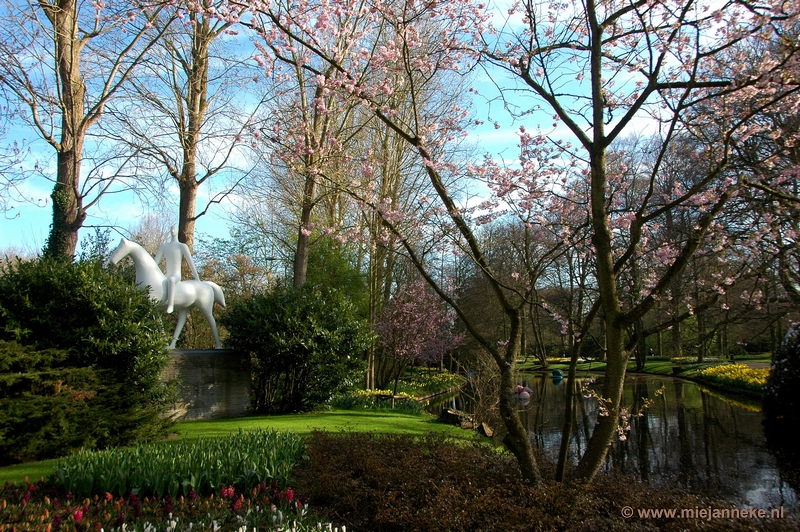 DSC_2104.JPG - Keukenhof 2011