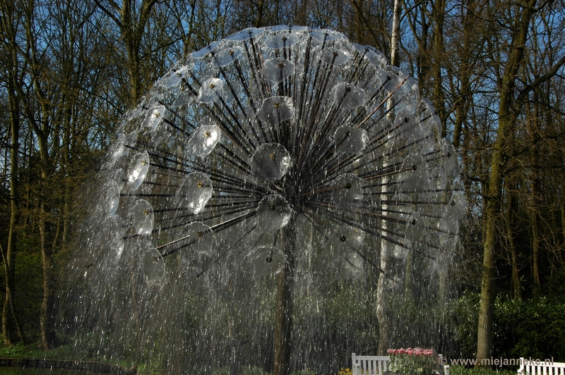 DSC_2217.JPG - Keukenhof 2011