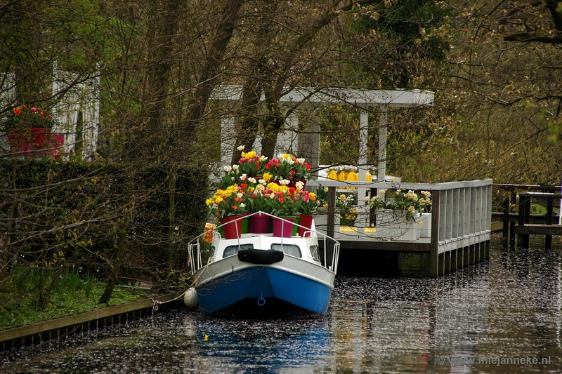 DSC_2383.JPG - Keukenhof 2011