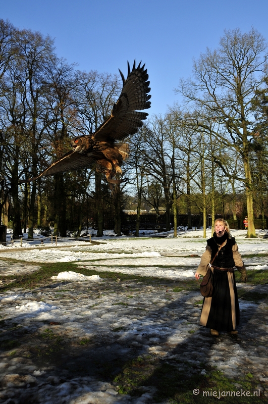 _DSC3302.JPG - Zon, sneeuw en vogels