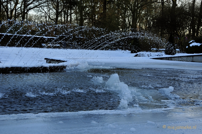 _DSC3635.JPG - Arcen in het nieuwe jaar