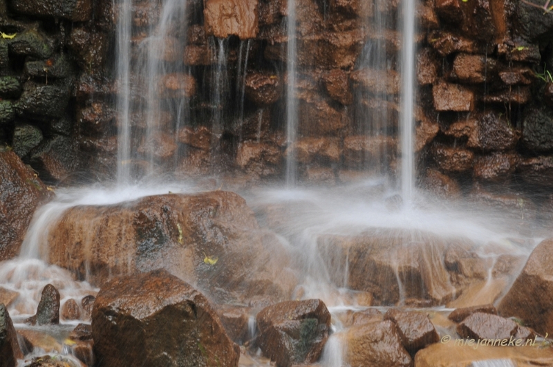 _DSC2562.JPG - Beekse Bergen