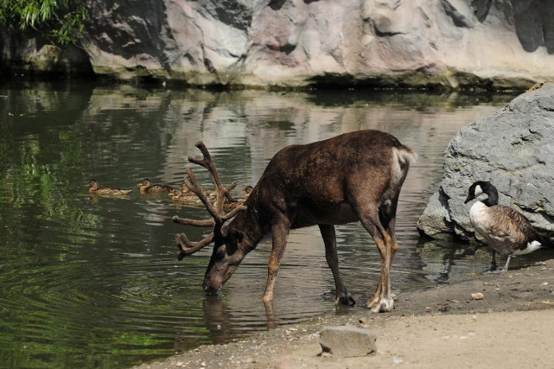 _DSC1041.JPG - Erlebnis Welt Zoo Duitsland