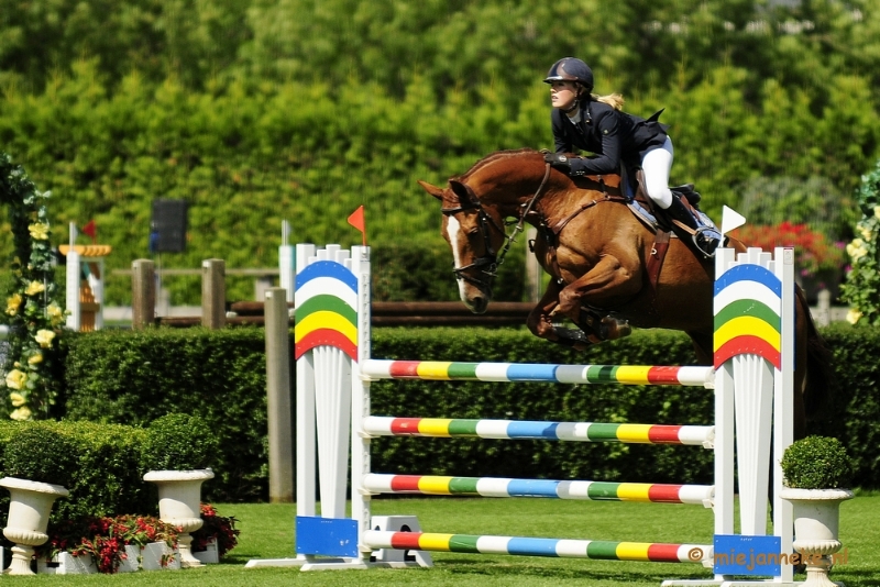 _DSC3298.JPG - Hippique Concours Valkenswaard