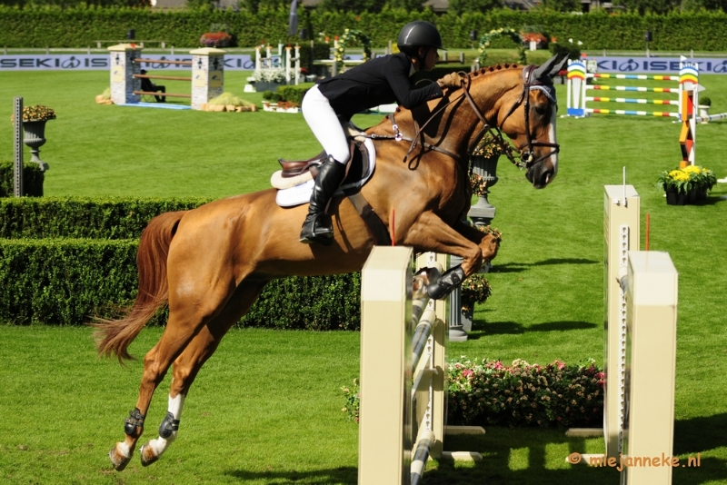 _DSC3592.JPG - Hippique Concours Valkenswaard