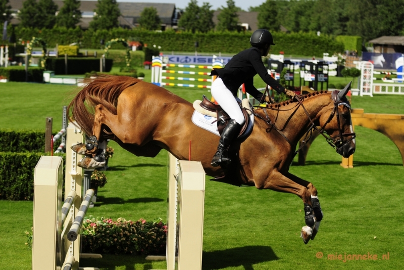 _DSC3594.JPG - Hippique Concours Valkenswaard