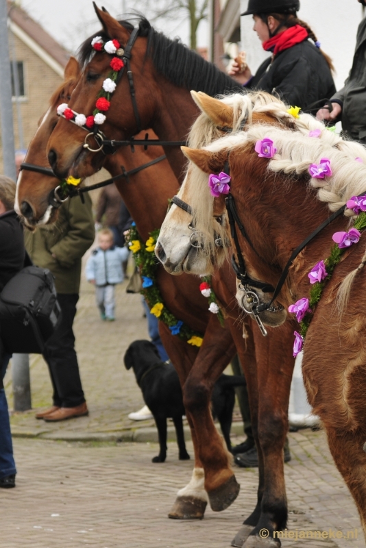 _DSC8730.JPG - Strao Ellemeet