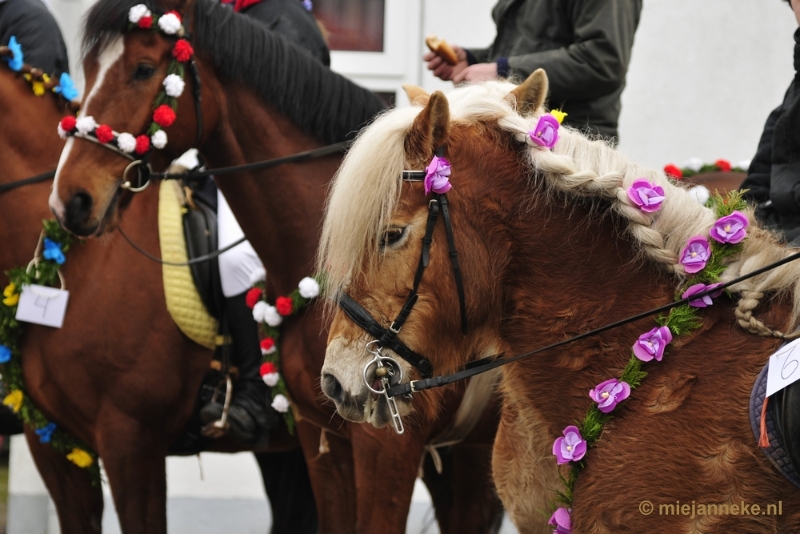 _DSC8736.JPG - Strao Ellemeet