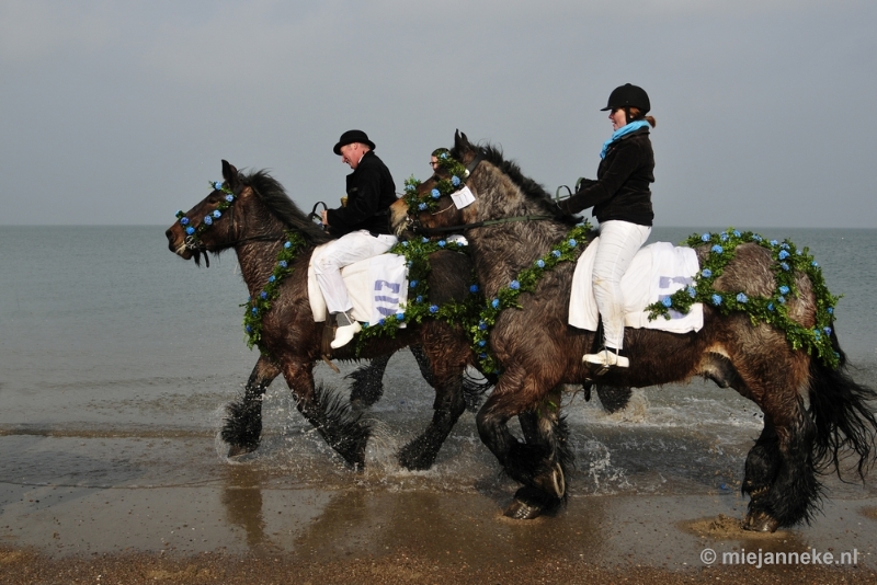 _DSC8803.JPG - Strao Ellemeet