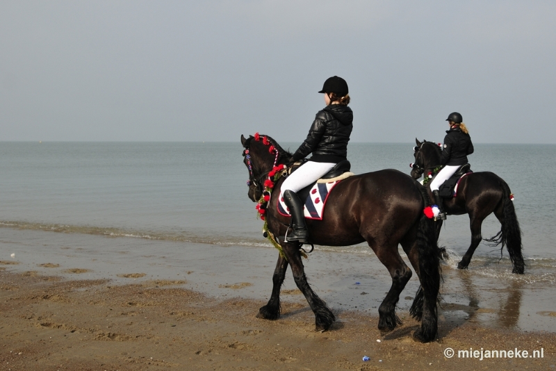 _DSC8807.JPG - Strao Ellemeet