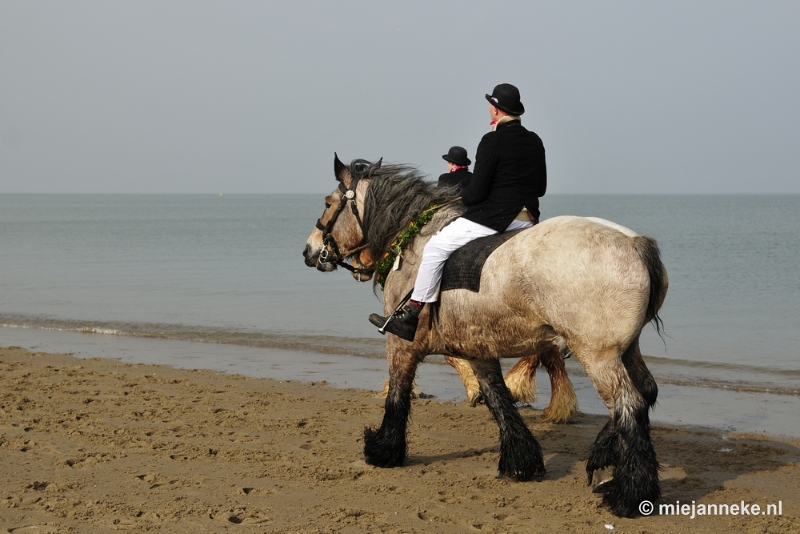 _DSC8818.JPG - Strao Ellemeet