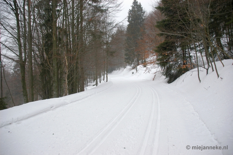 DSC_2949.JPG - Bayerisch Wald