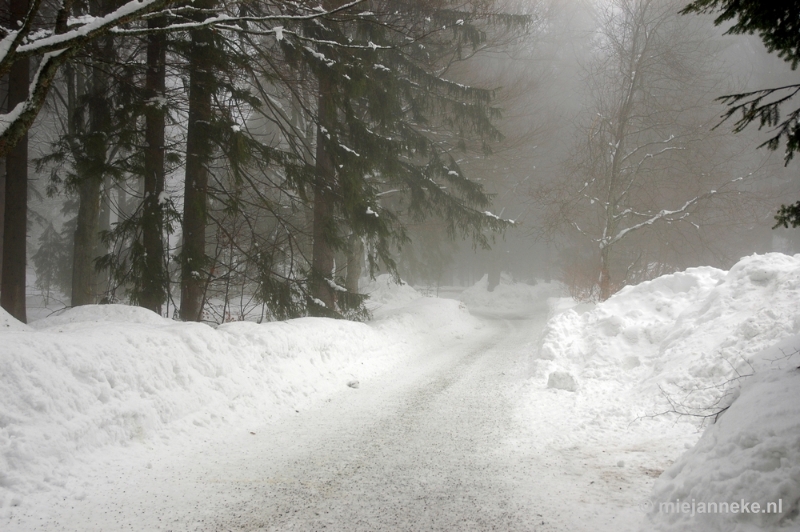 DSC_2980.JPG - Bayerisch Wald