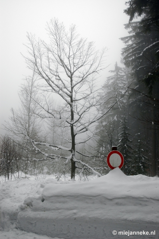 DSC_2985.JPG - Bayerisch Wald