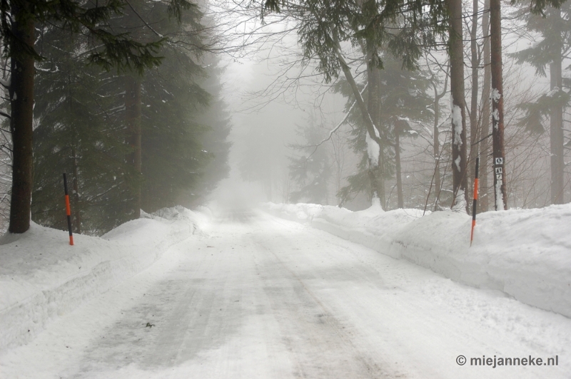 DSC_2987.JPG - Bayerisch Wald