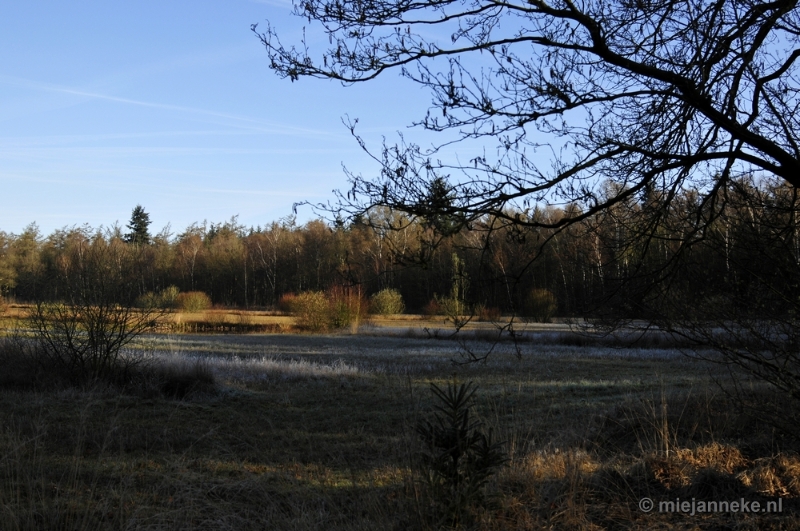 _DSC2054.JPG - De Pan Cranendonck